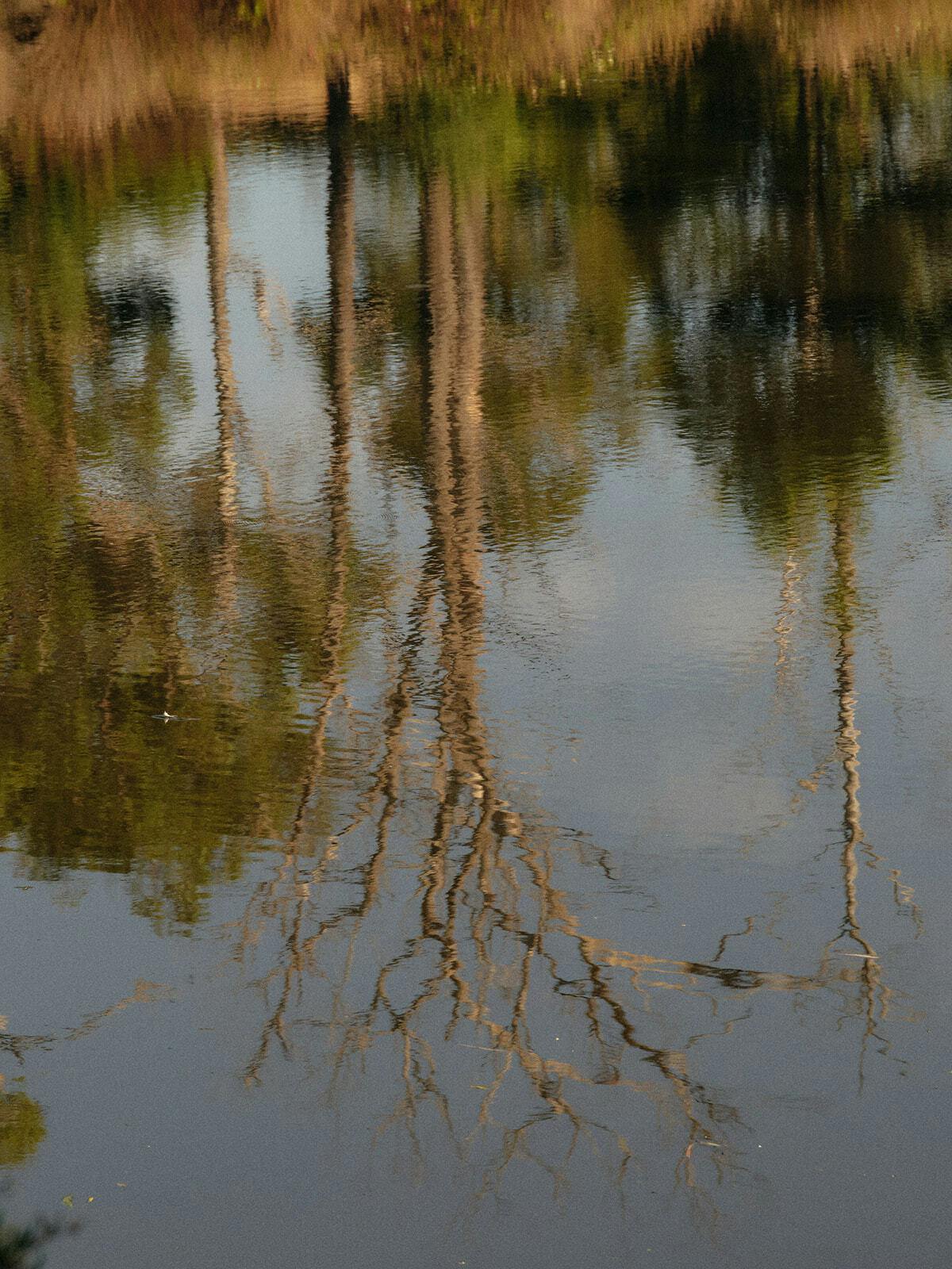 Seville Estate Yarra Valley