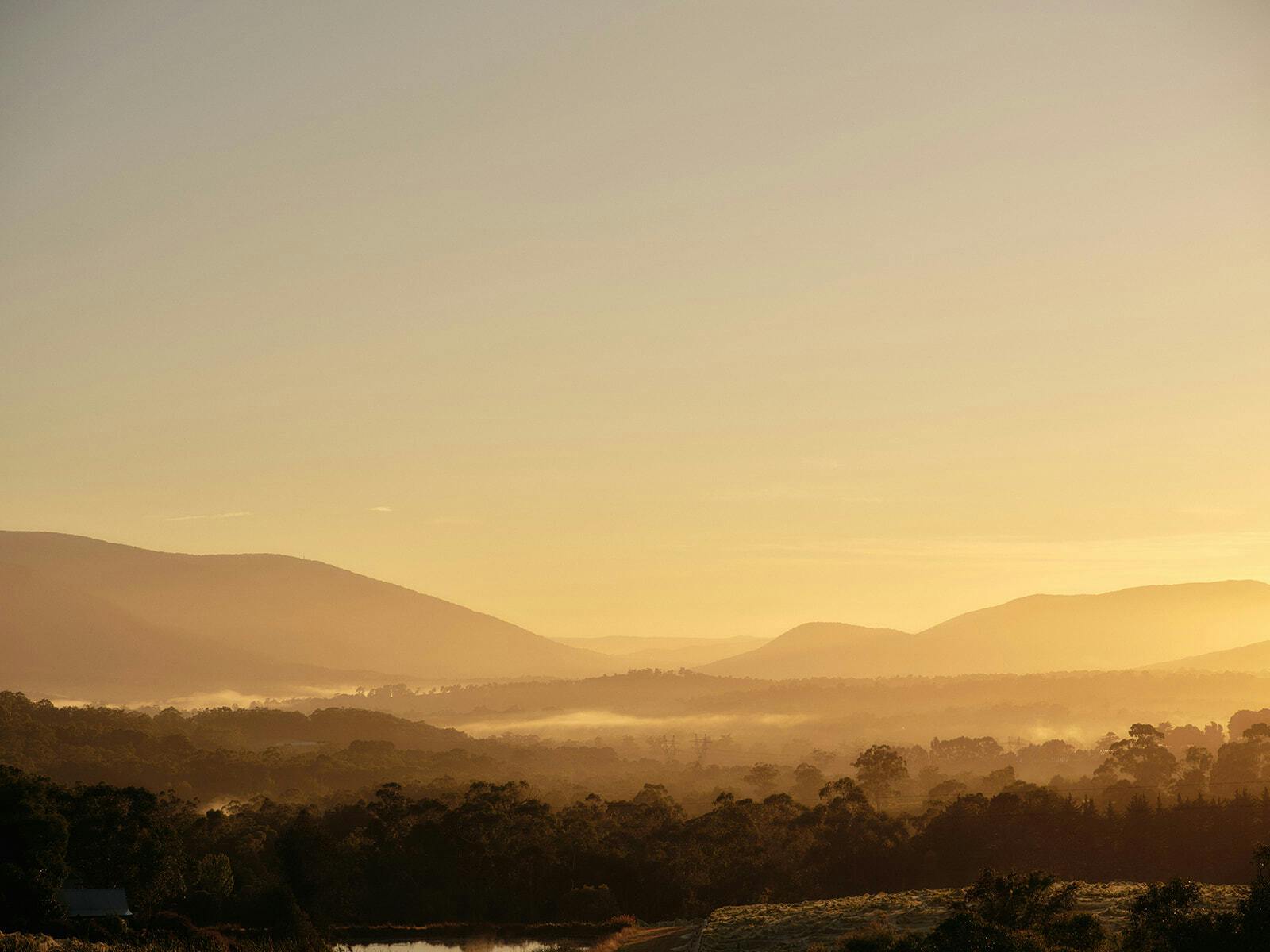 Seville Estate hdavison14299 websize 2