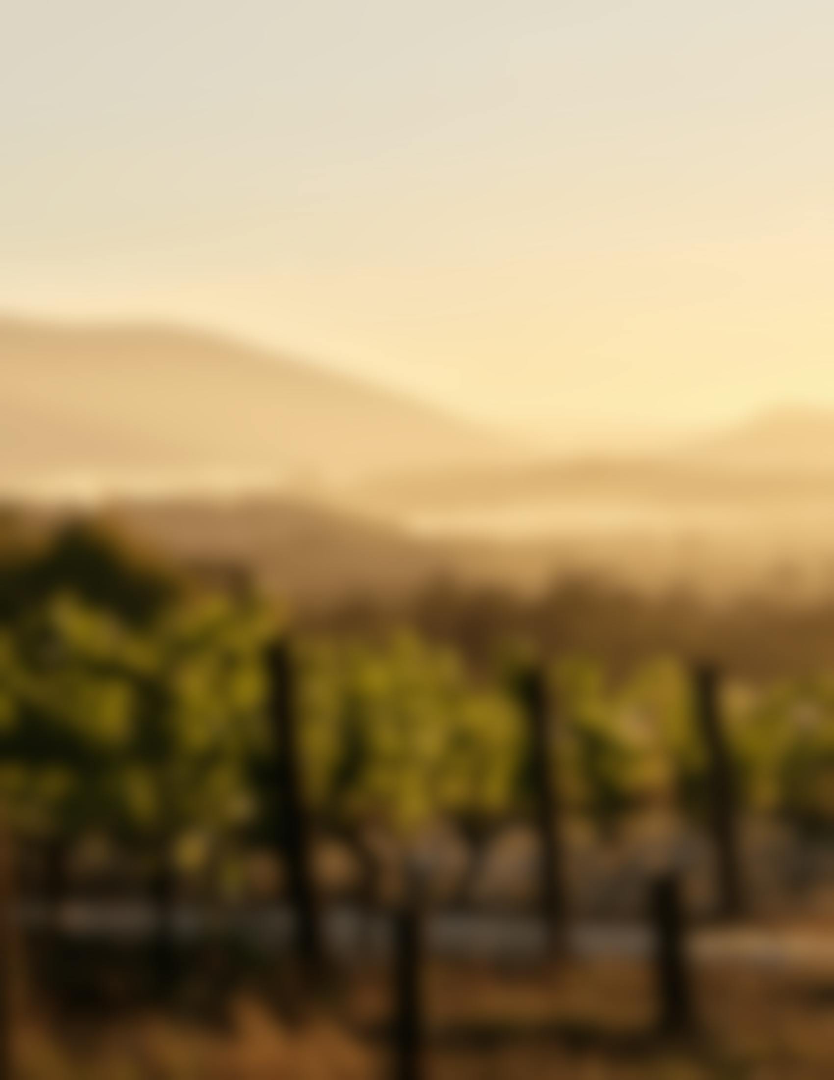 Seville Estate Cool Climate Wines
