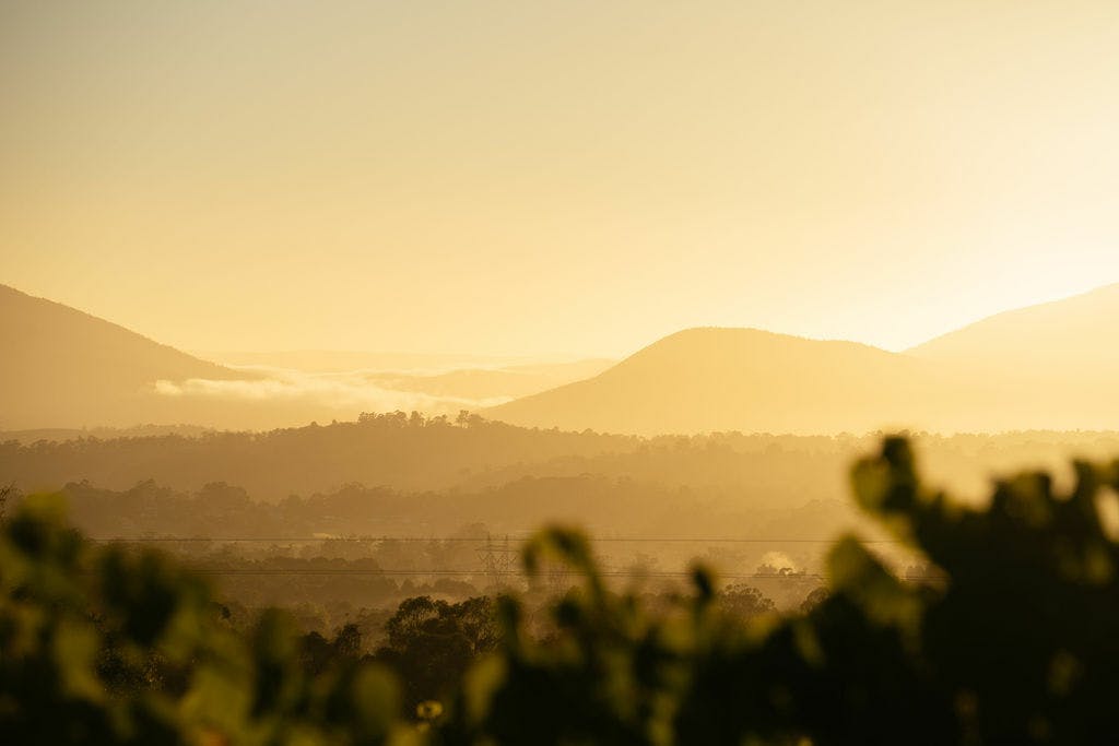 Seville Estate Vineyards Upper Yarra Valley