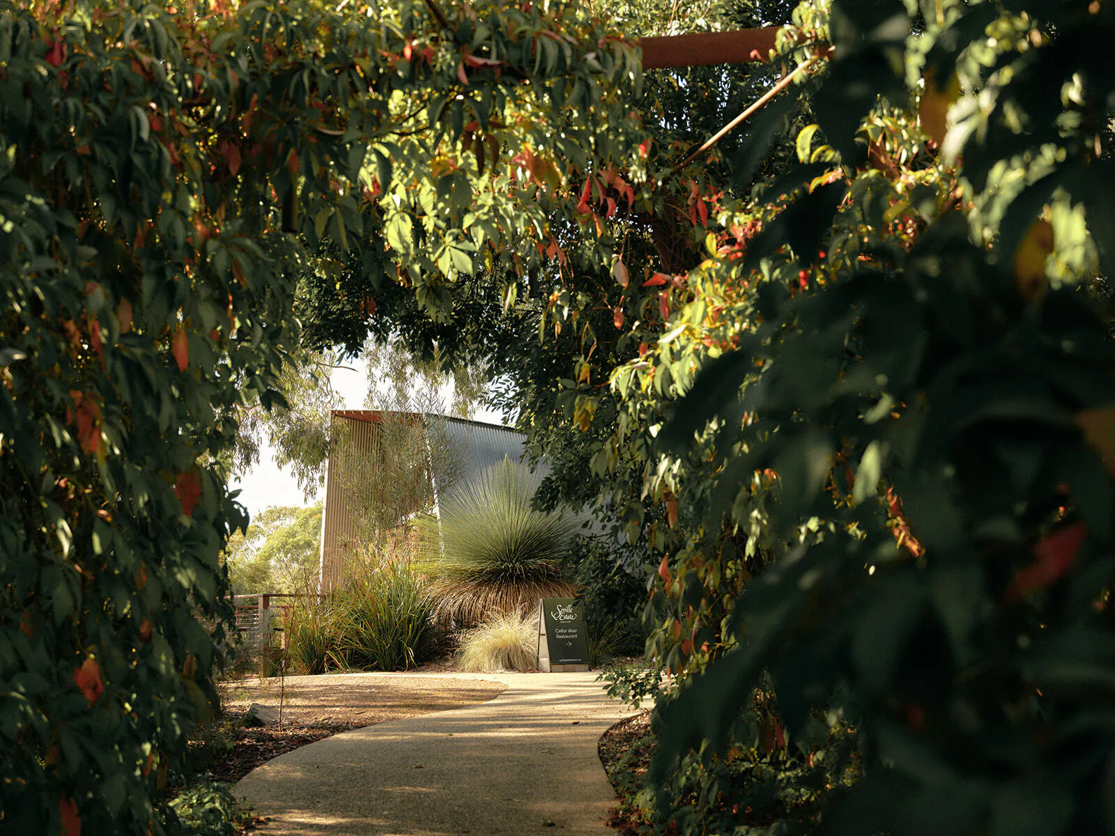 Seville Estate Yarra Valley Winery Est 1972