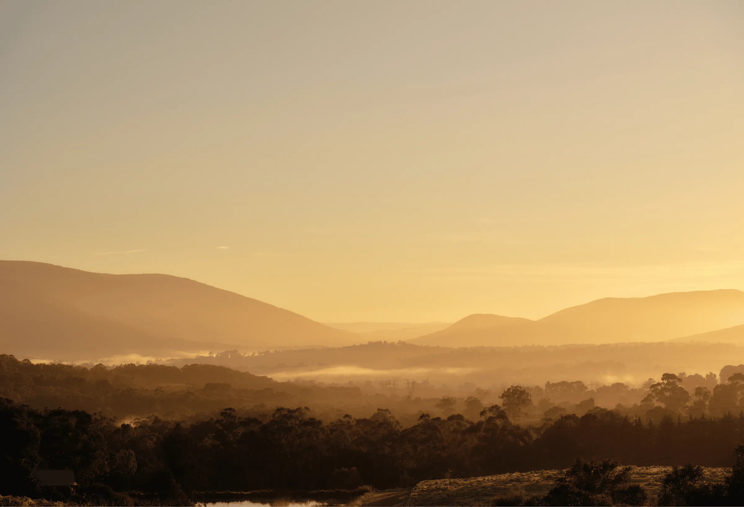 Seville Estate Our Story Upper Yarra Valley