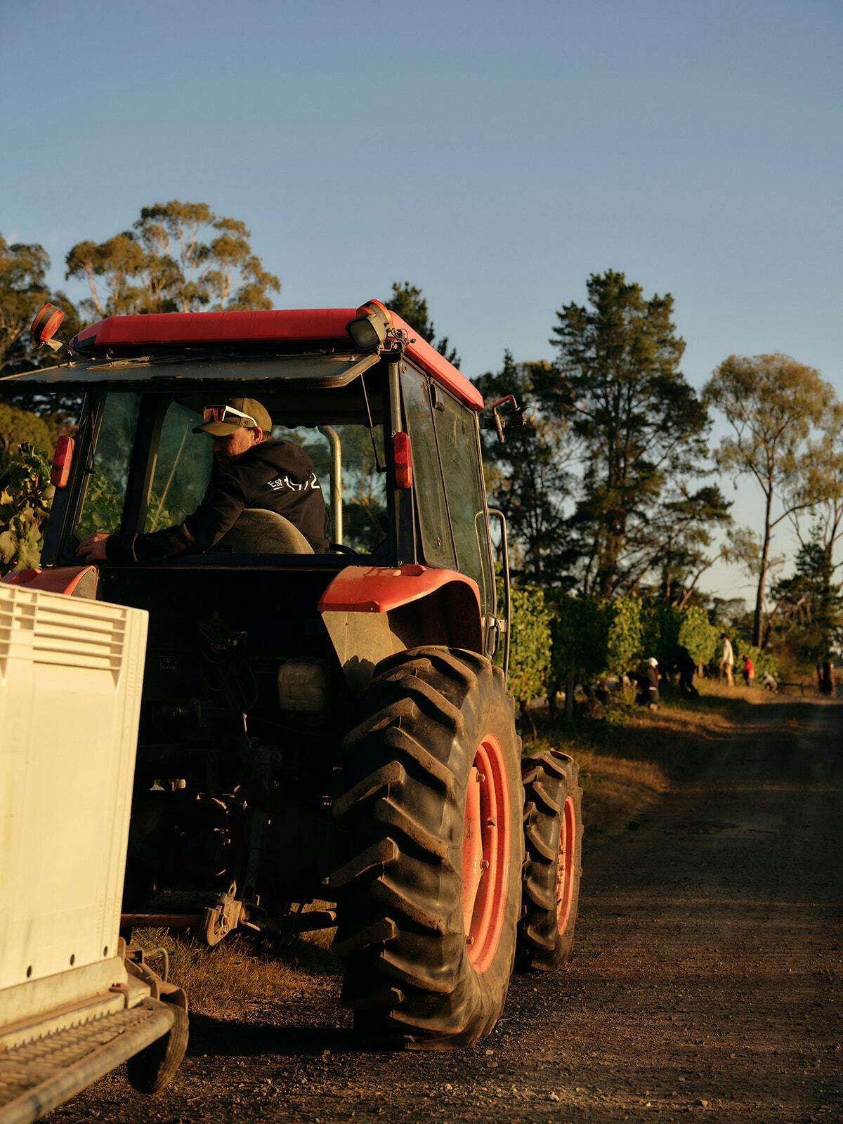 Seville Estate hdavison14315 websize