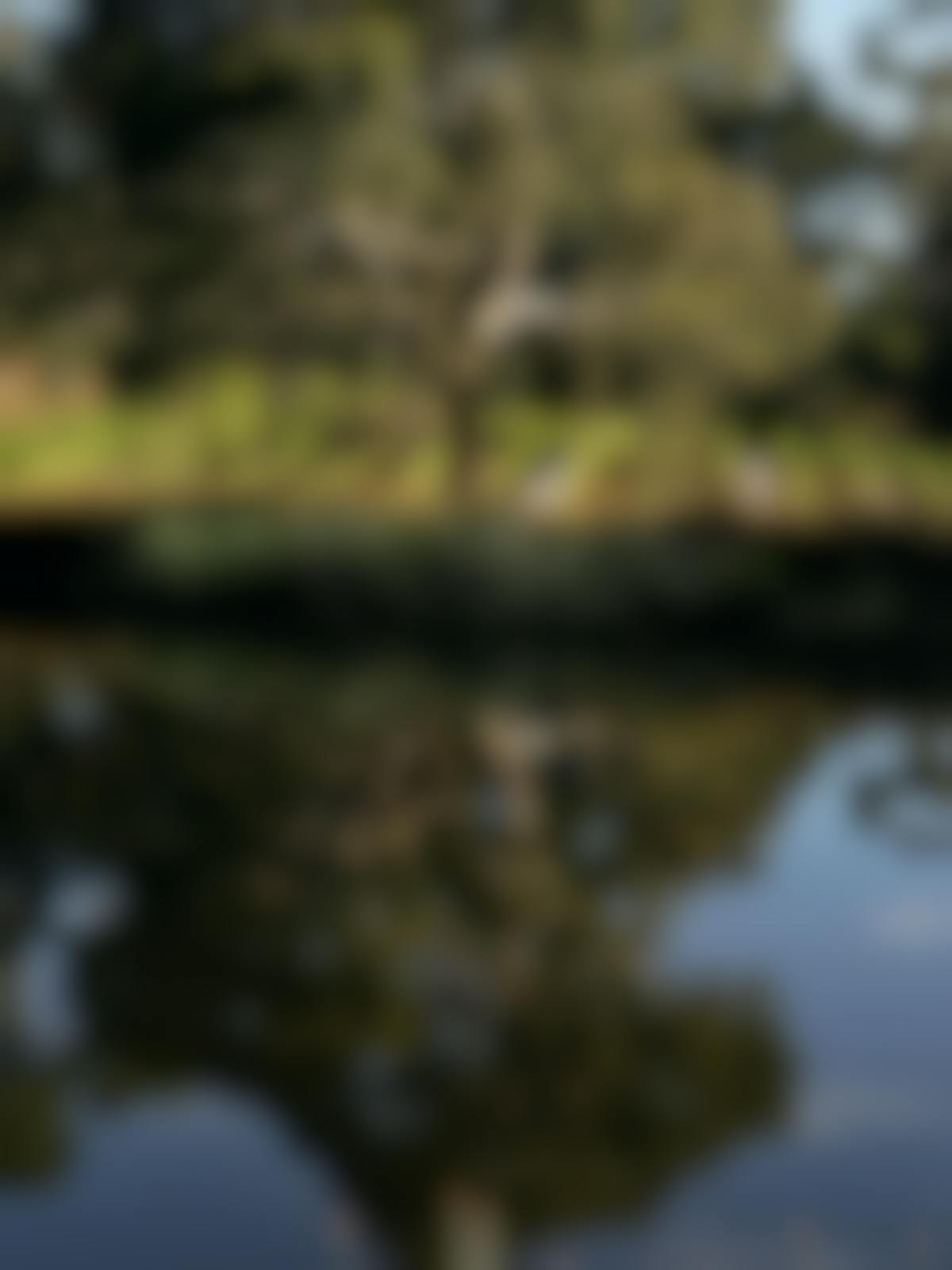 Seville Estate rebirth of yarra valley