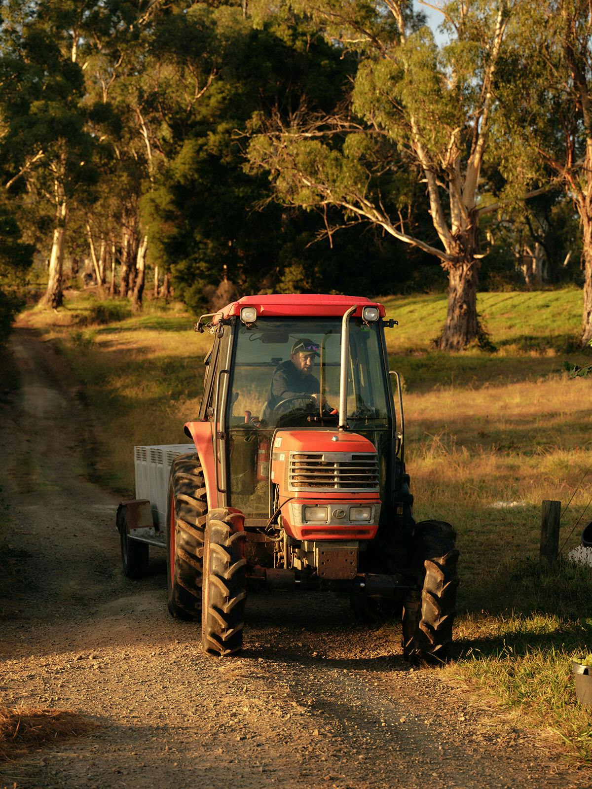 Seville Estate Vintage Notes