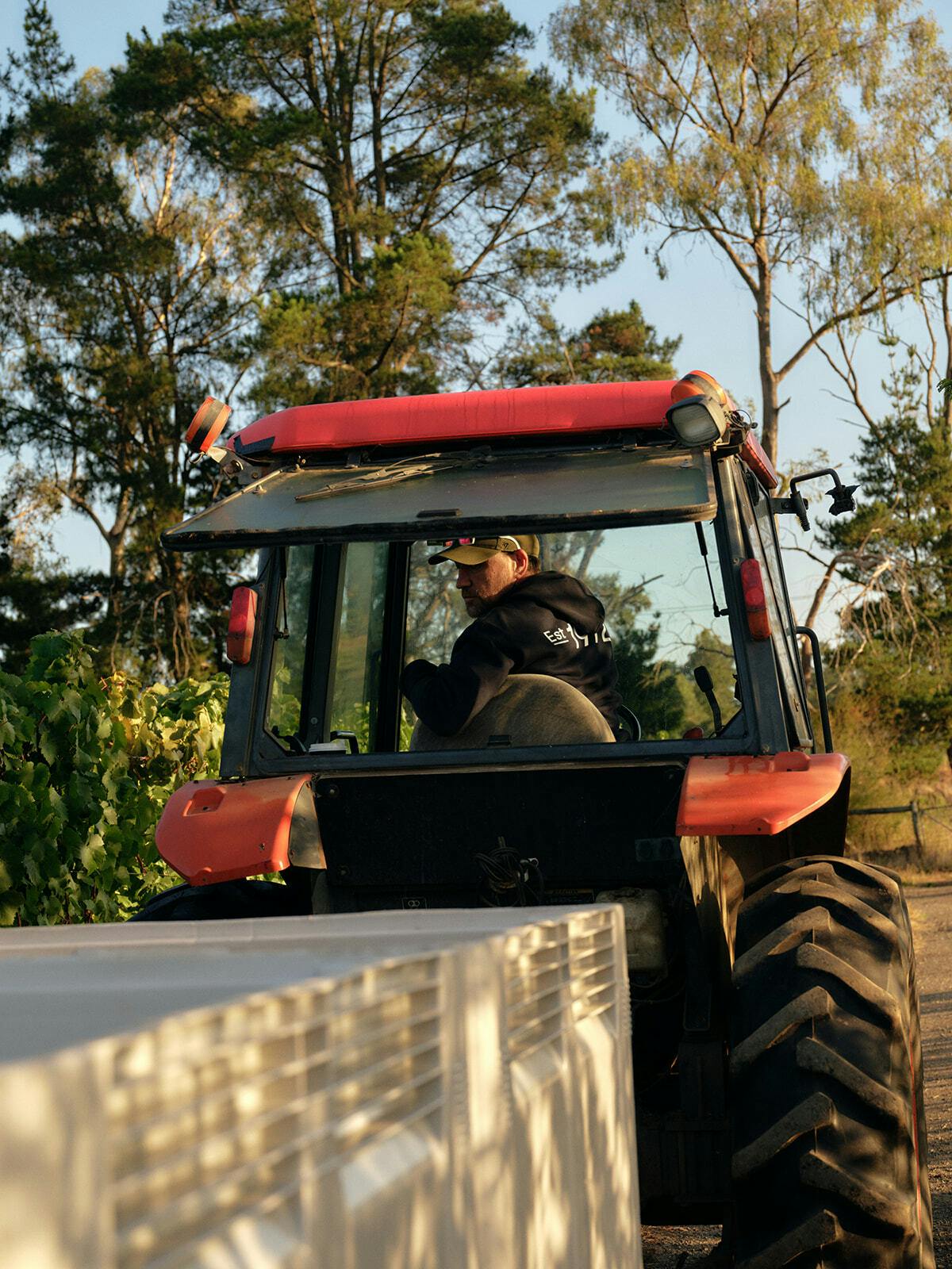 Seville Estate Vintage Notes2