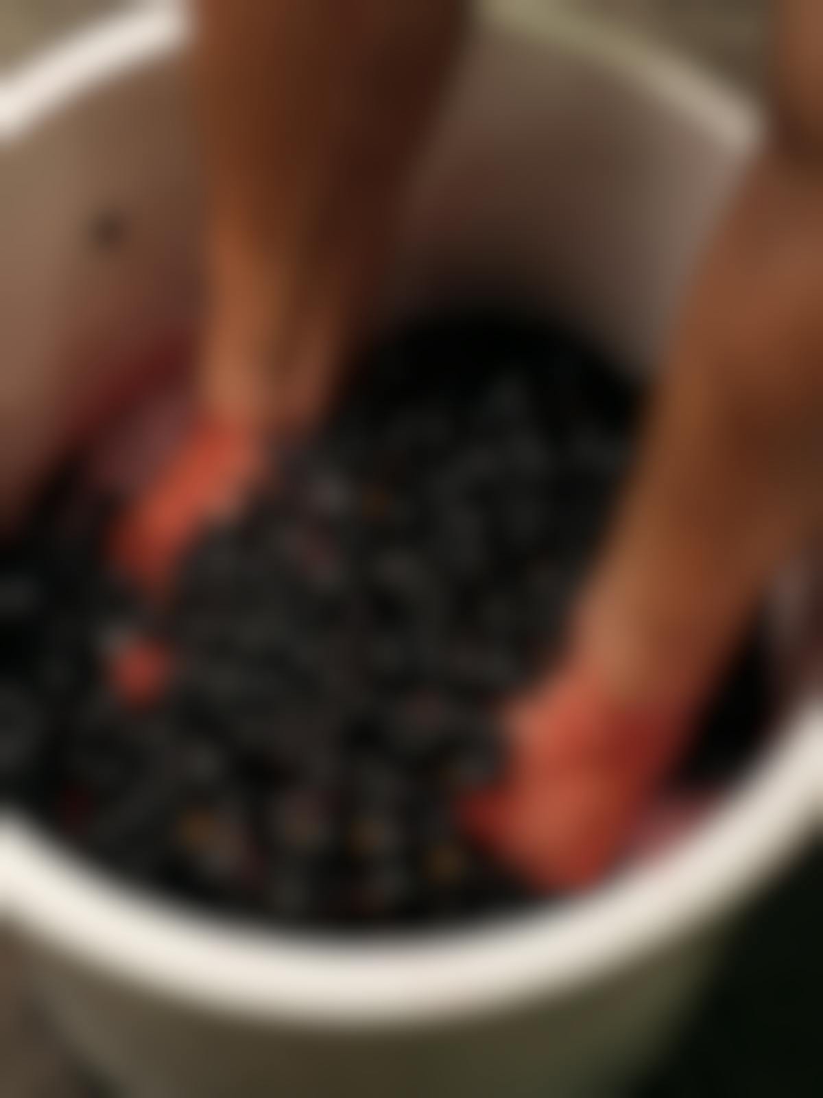 Seville Estate winemaking2