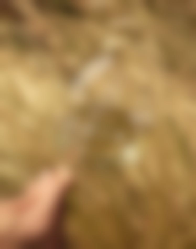 Rectangle 65