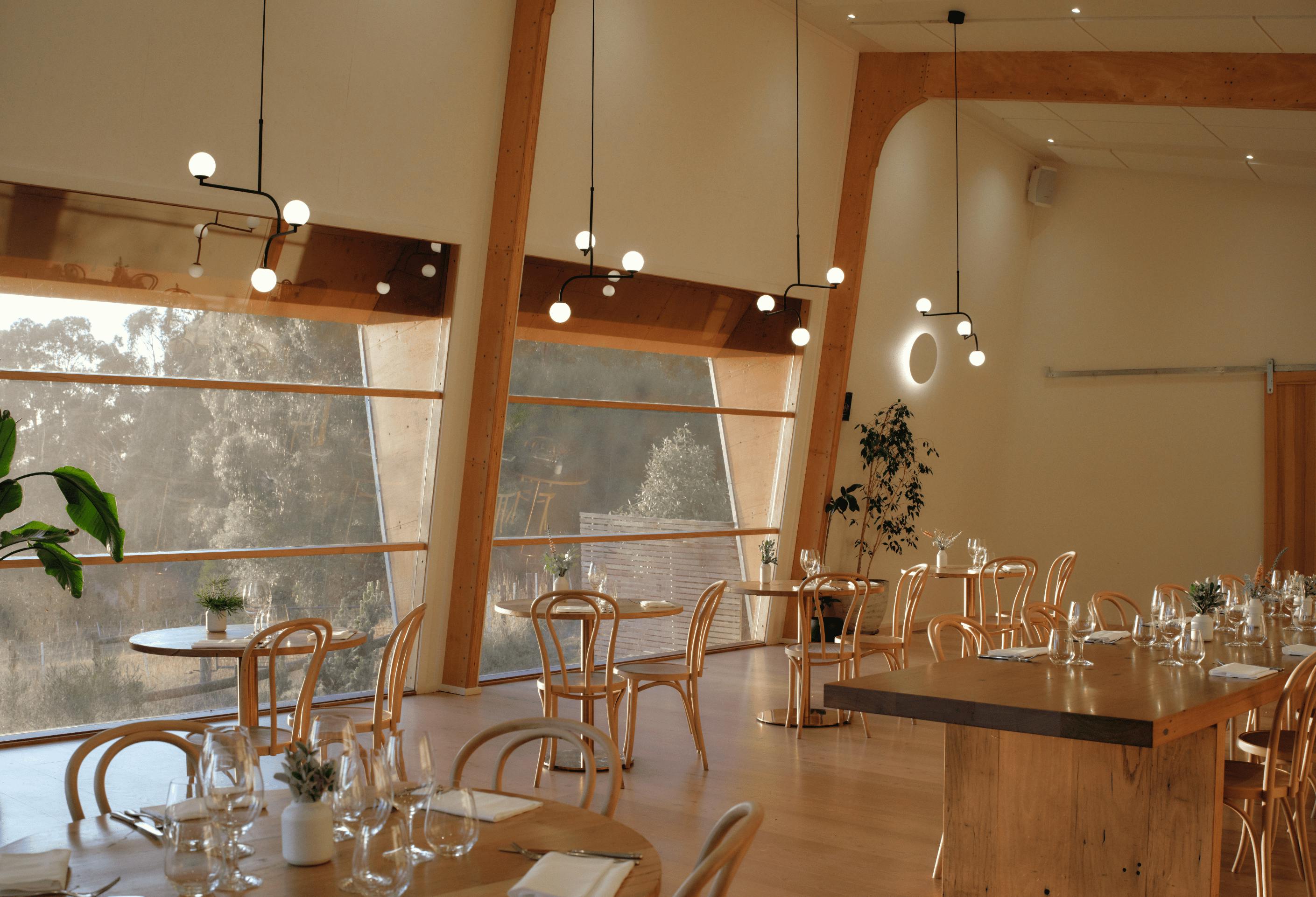 Seville Estate Wine Tasting in Yarra Valley 7