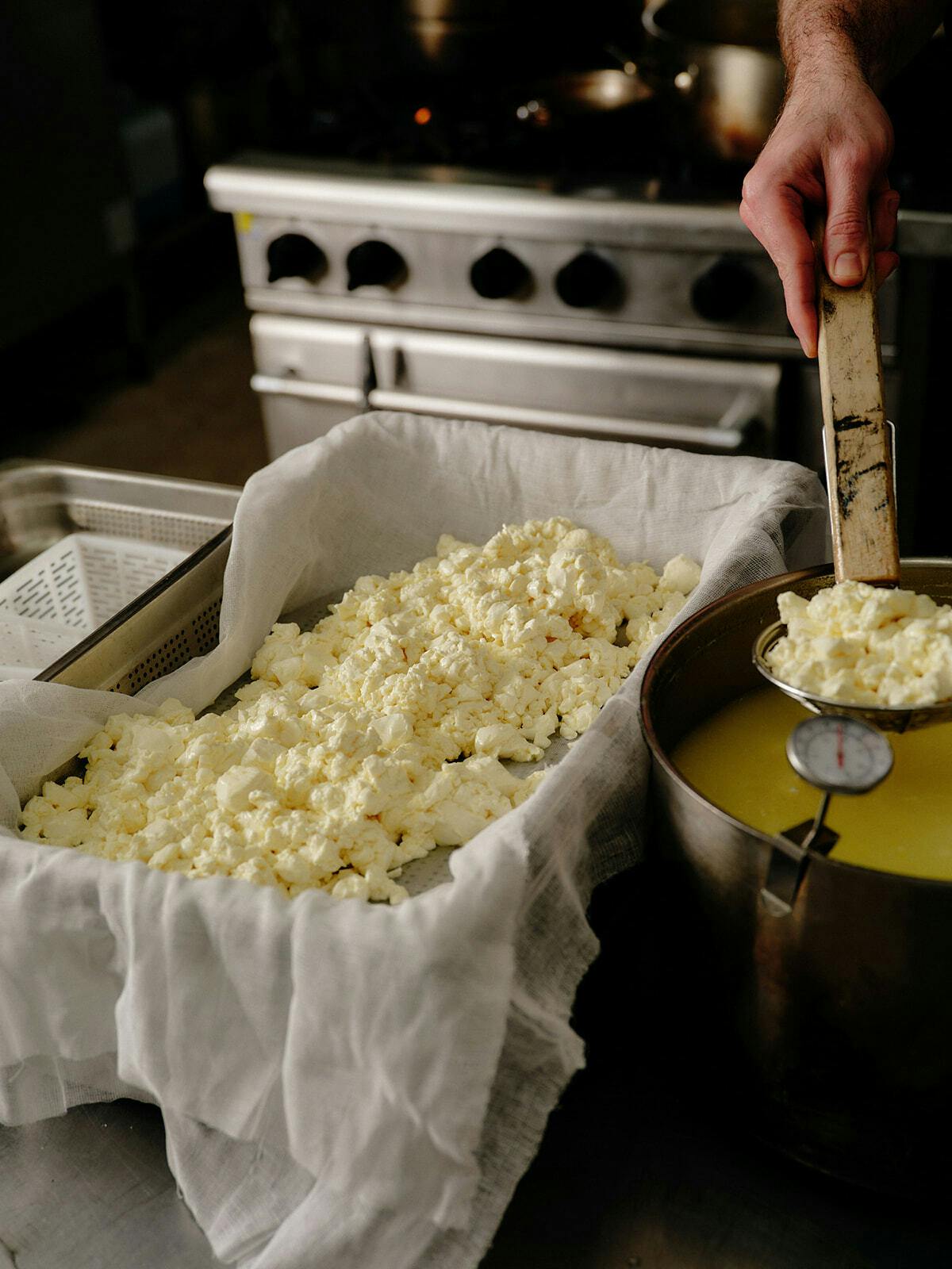 Seville Estate Gippsland Jersey Dairy