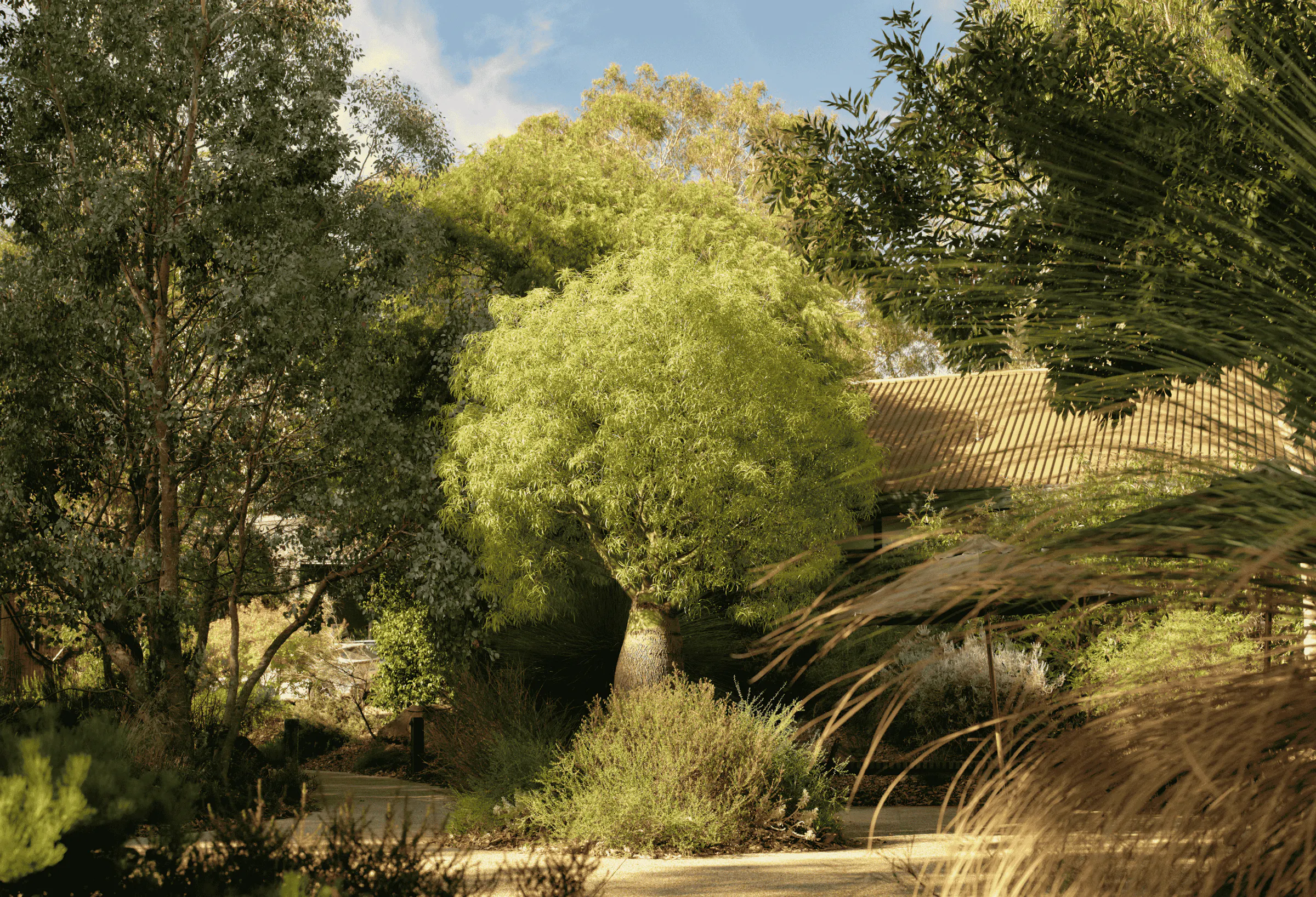 Seville Estate Cellar Door Booking Yarra Valley