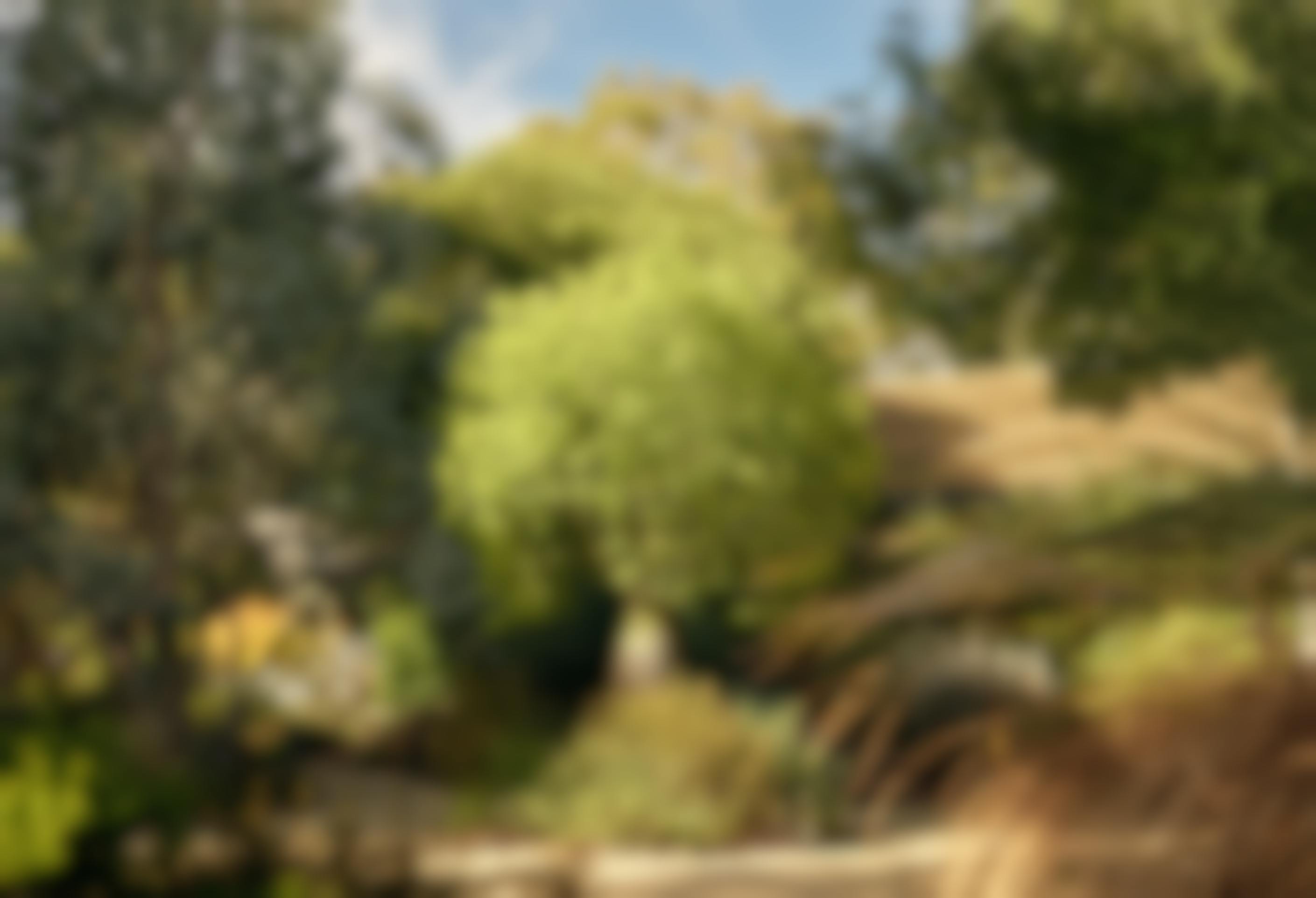 Seville Estate Cellar Door Booking Yarra Valley
