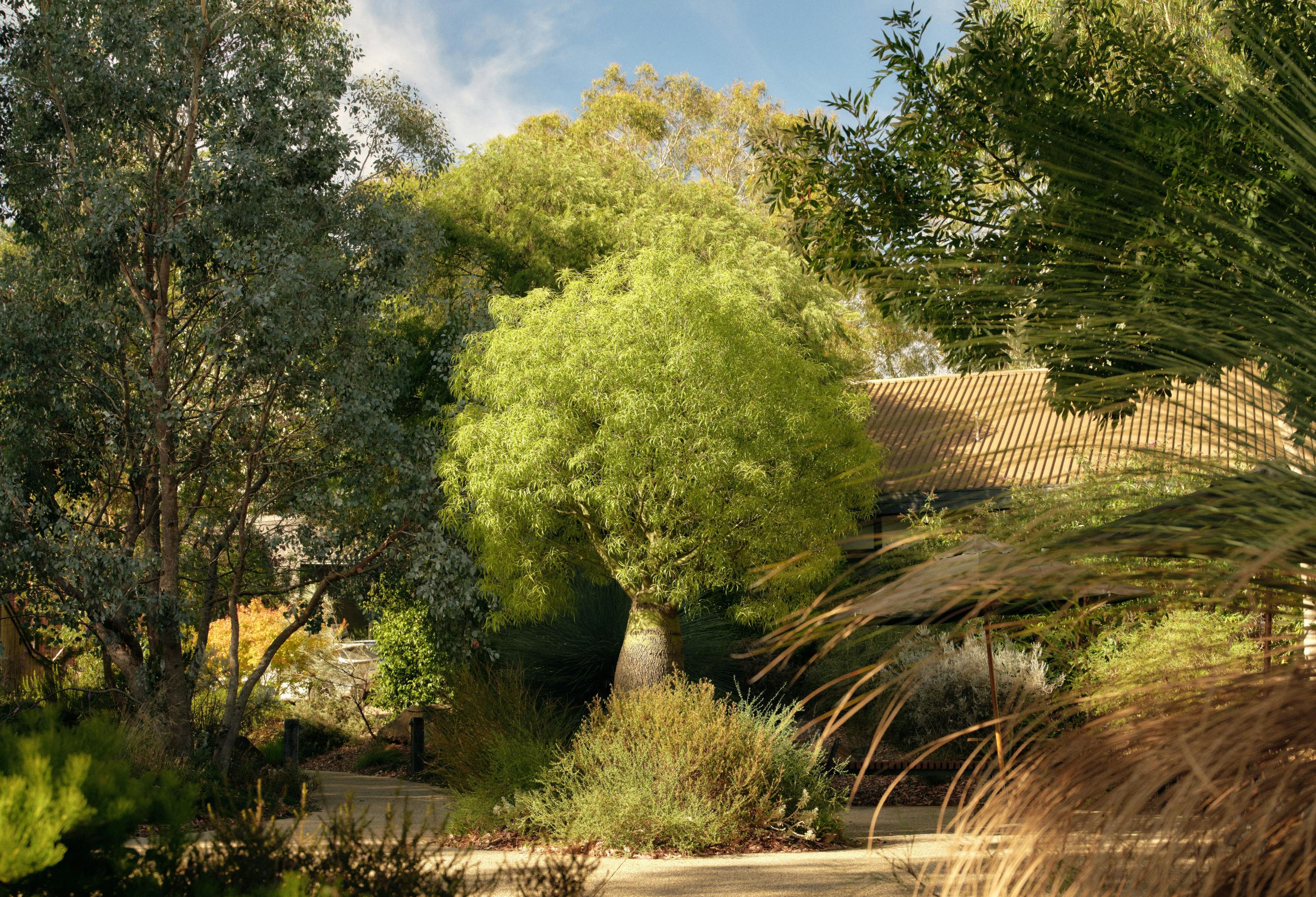 Seville Estate Cellar Door Booking Yarra Valley