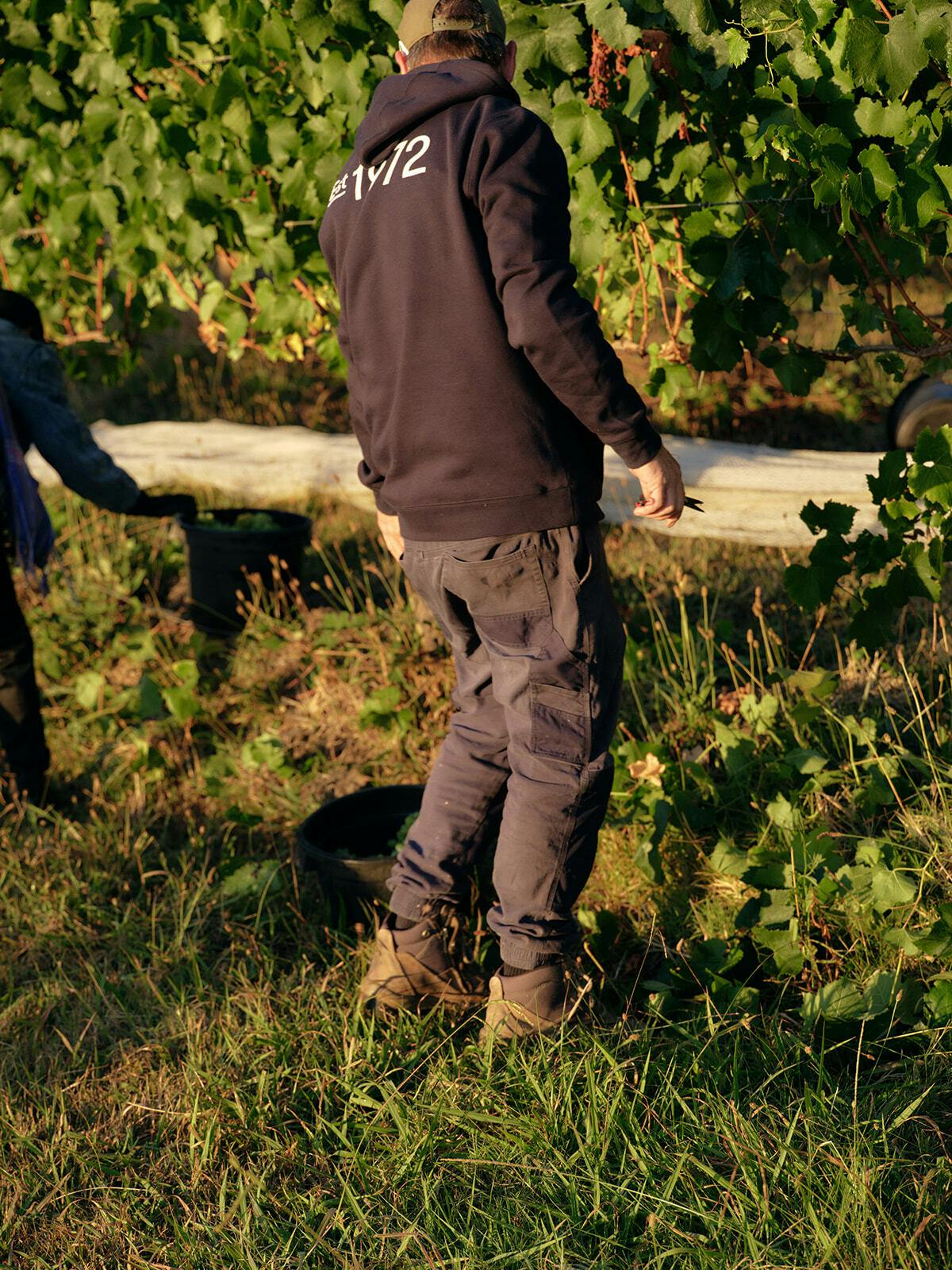 Seville Estate hdavison14306 websize 1