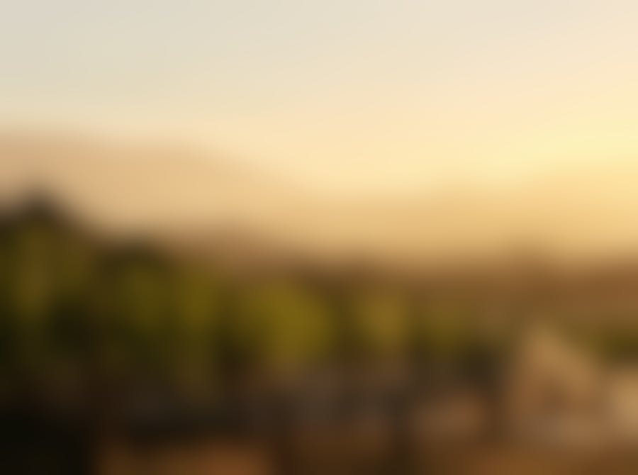 Seville Estate Vineyard Upper Yarra Valley 1