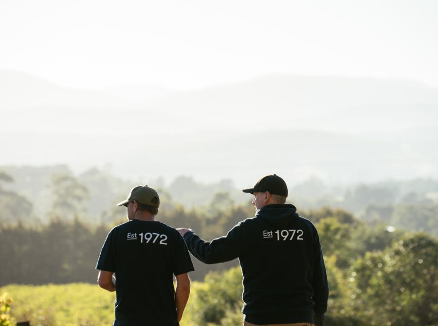 Seville Estate Vineyard Upper Yarra Valley 8