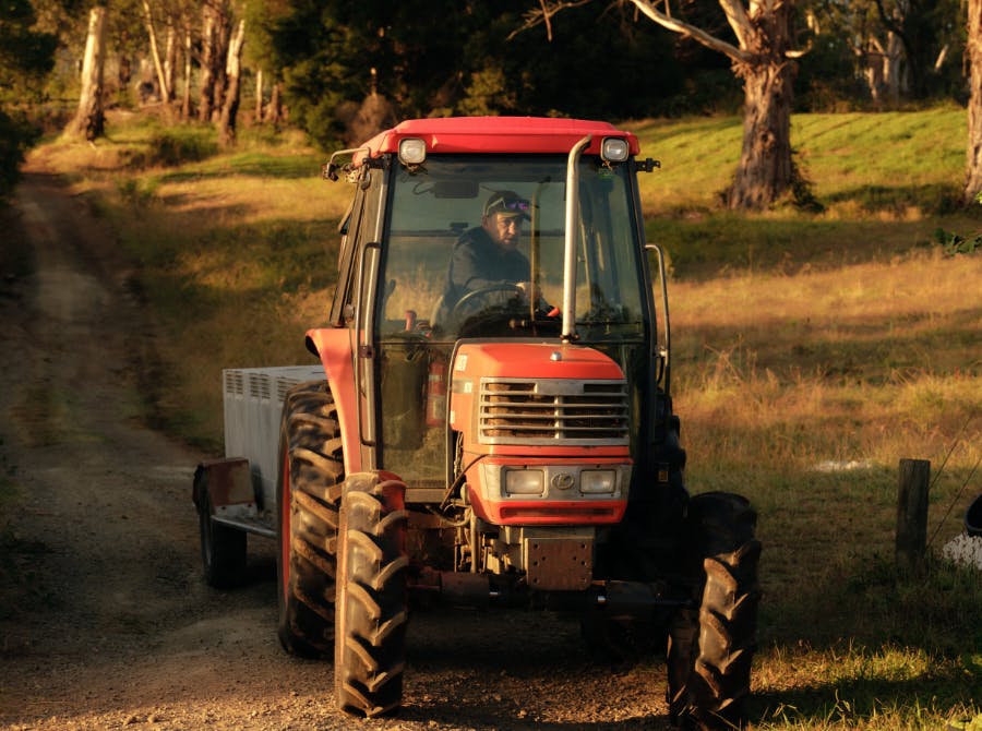 Seville Estate Vineyard Upper Yarra Valley