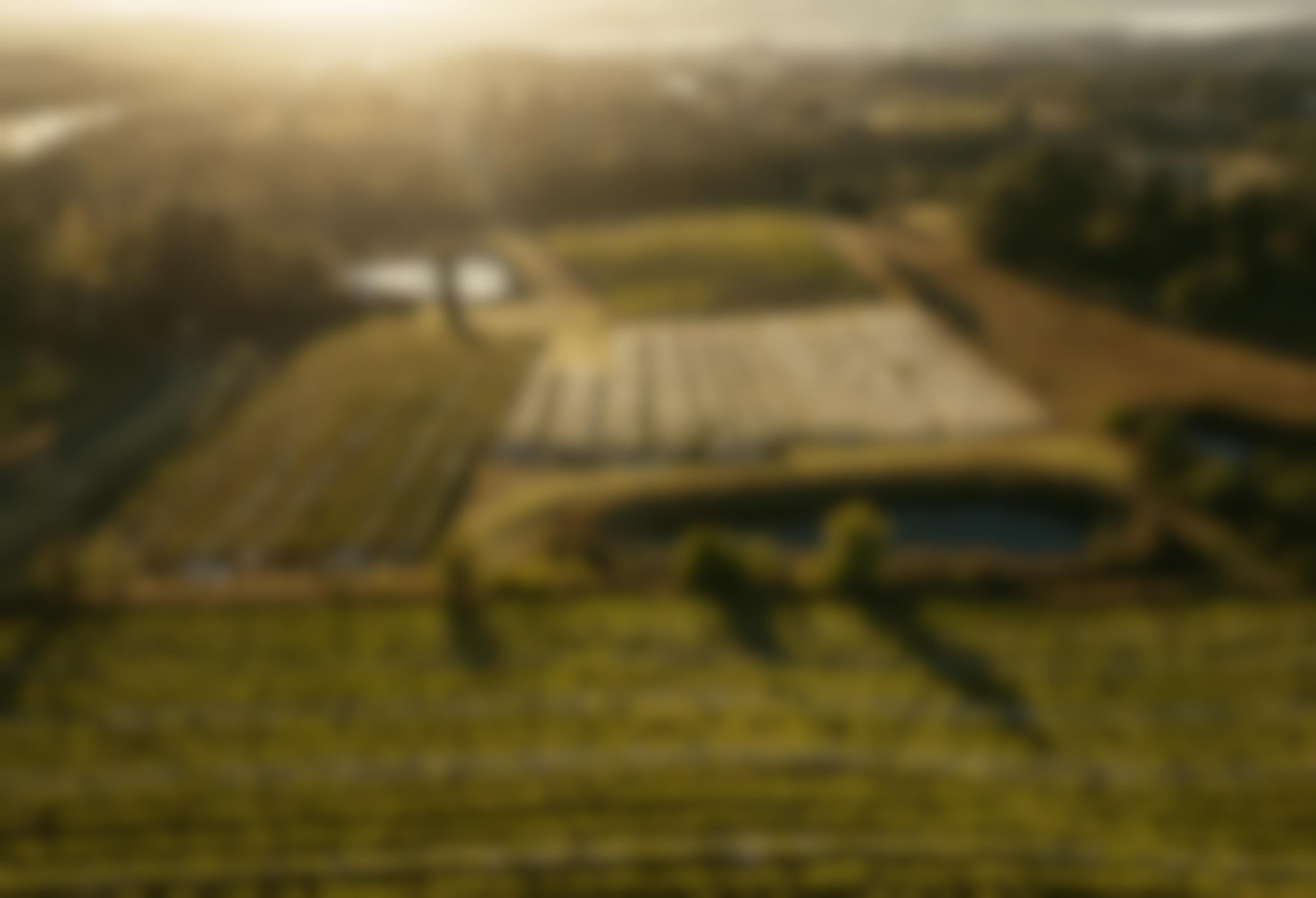 Seville Estate Vineyard Yarra Valley 1