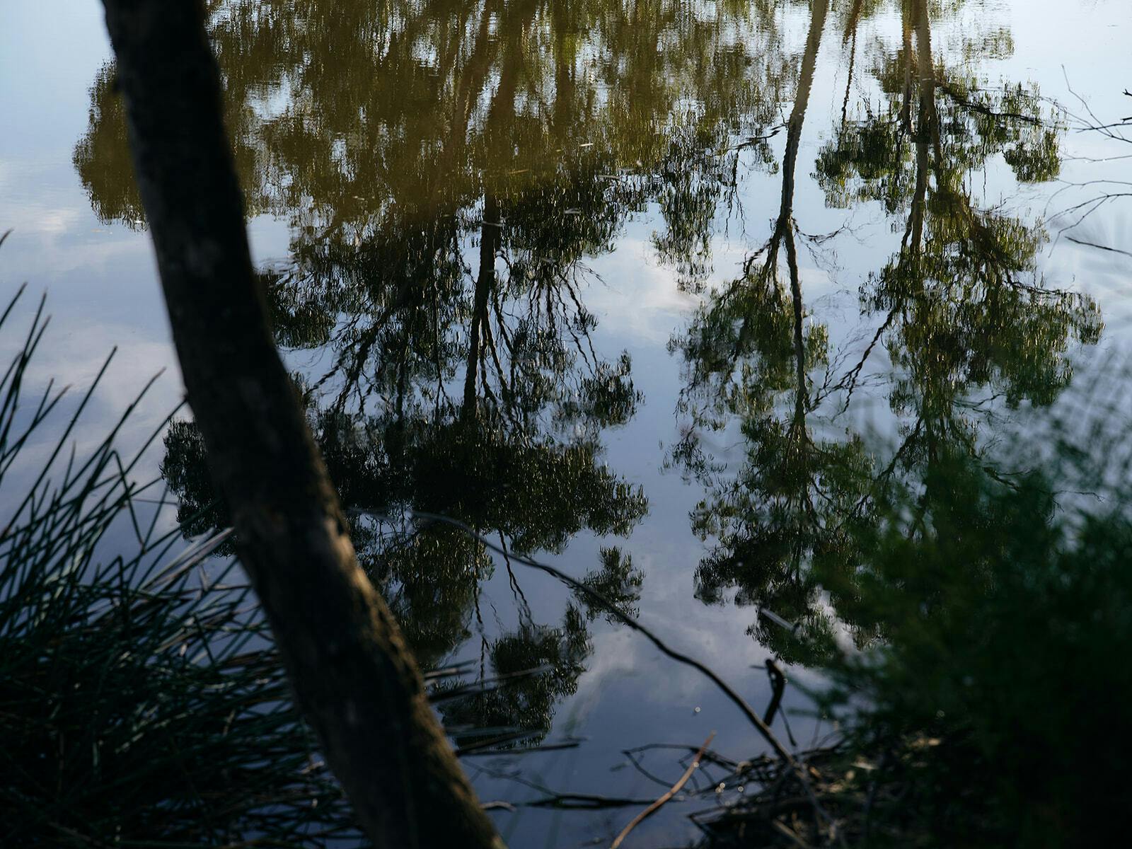 Seville Estate Dam Shiraz